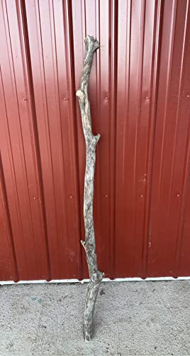 One Driftwood Pole 4-5 ft Vase & Craft Decor Wedding Venue