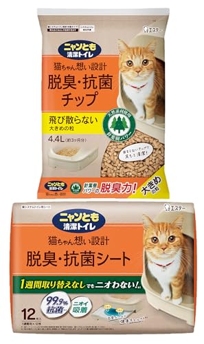 jƂgC ELERۃ`bv 傫߂̗ 4.4L V[g 12 [L] [LpVXegCV[g] (܂Ƃߔ) VXegC Lp L