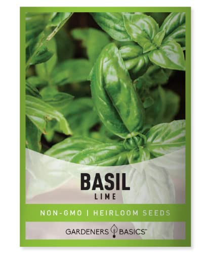 Lime Basil Seeds for Planting Herbs - Heirloom Non-GMO Herb Plant Seeds for Home Herb Garden Indoors, Outdoors, and Hydroponics by Gardeners Basics