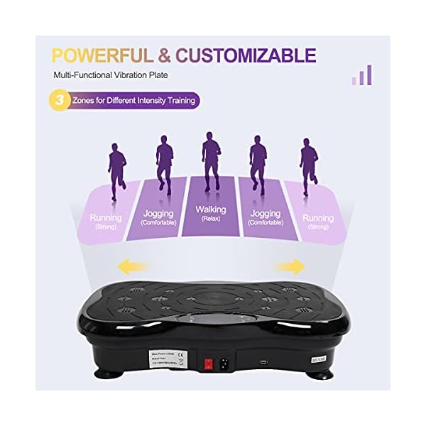 DAEYEGIM Plate Exercise Machine for Home Gym, Full Body Sculpting Machine for Home Weight Loss Equipment for Women Fat Burner Machine