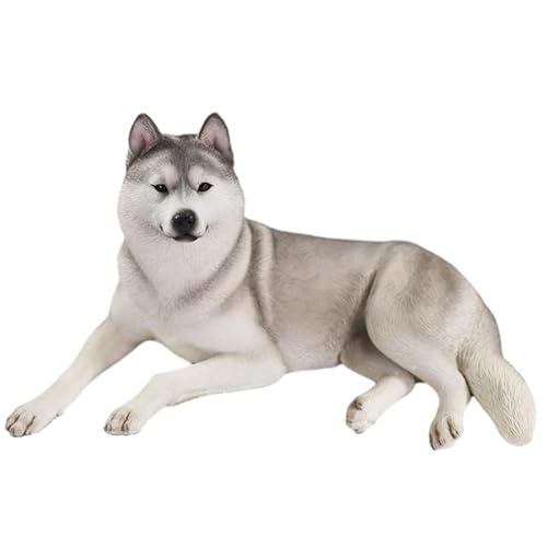 1/6 TCY VxAEnXL[ 2.0    VxA A tBMA  vf v~A l̂ ͌^ IWi X^`[ h i D a v[g u (A2)