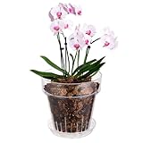 SUADEN 7.1 Inch Clear Acrylic Planter Pot with Tray,Orchid Pot with Drainage Holes,Side Holes for Hanging,Twist-Lock Saucer for Easy Moving, Transparent Containers for Indoor Plants Herbs