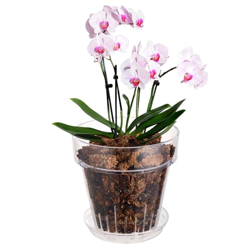SUADEN 5.3 Inch Clear Acrylic Planter Pot with Tray,Orchid Pot with Drainage Holes,Side Holes for Hanging,Twist-Lock Saucer for Easy Moving, Transparent Containers for Indoor Plants Herbs