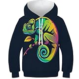 LYJSMDAAA Refugio Sudadera con Capucha para Niño Y Niña, 3D, Unisex, con Capucha, Manga Larga, con Bolsillos, 6-15años