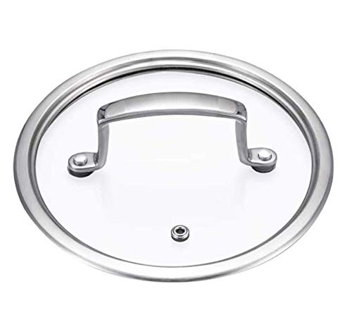 Coperchio di Vetro per pentole, Coperchio in Vetro con Maniglia in Metallo, Bordo in Acciaio Inox, for Forno e lavastoviglie, Trasparente, Argento, 16-26 cm(24cm)