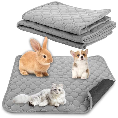 Empapadores Perros 90X60 con Feromonas Marca Oungy