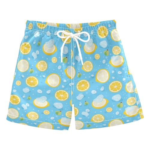 Lemon Ice Boys Swim Trunks Toddler Shorts Swimwear Boardshorts