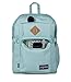 JanSport Main Campus Backpack - Travel or Work Backpack with 15-Inch Laptop Sleeve and Dual Water Bottle Pockets, Faded Sage