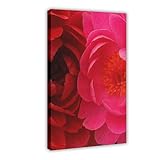 XVHOGAS Minimalistischer Kunstdruck auf Leinwand, Motiv: rosa Pfingstrosen, Schlafzimmer, Dekoration, Landschaft, Büro, Raumdekoration, Geschenk, 20 x 30 cm