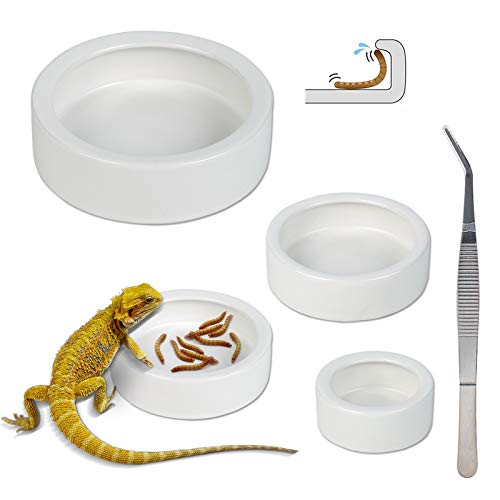 Keramik-Futter- und Wassernapf für Reptilien Cover