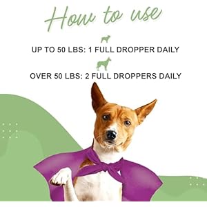 Milk Thistle Liver Support for Dogs Supports Kidney Function for Pets Detox Hepatic Support with Wild Alaskan Salmon Oil  Curcumin Omega 3 Epa  Dha 2 Ounces  Cucciolini Doodles Milk thistle liver support for dogs supports kidney function for pets detox hepatic support with wild alaskan salmon oil  curcumin omega 3 epa  dha 2 ounces   cucciolini doodles