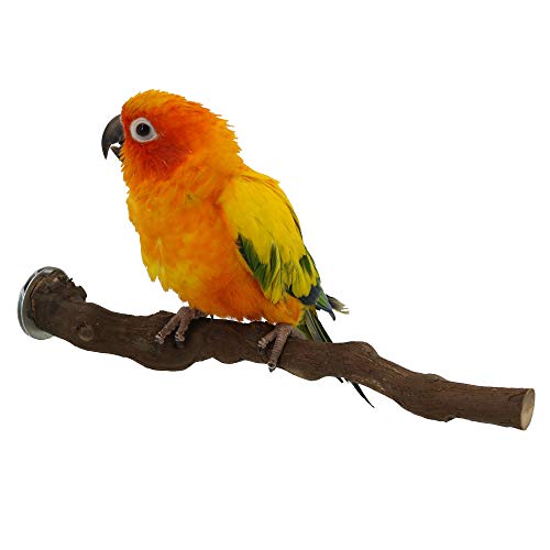 Wood Bird Stand Perch, Natural Wild Grape Stick Paw Grinding Standing Climbing Toy