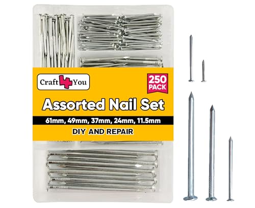 Zinc Plated Assorted Flat Head Nails, 250pcs - 6 Sizes Flat Head Nails - for framing and Fencing, Wood Work, DIY, Home, Woodwork, Multipurpose Nails – Nails for Brick, Wood, and Masonry