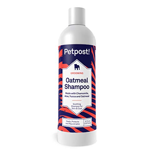 Petpost | Oatmeal & Chamomile Shampoo for Dogs with Dry Skin – Naturally Heals, Protects, Rejuvenates Dog Skin & Coat – Oatmeal, Chamomile, Aloe & Yucca Formula 8 oz. Petpost | Oatmeal & Chamomile Shampoo for Dogs with Dry Skin – Naturally Heals, Protects, Rejuvenates Dog Skin & Coat – Oatmeal, Chamomile, Aloe & Yucca Formula 8 oz.