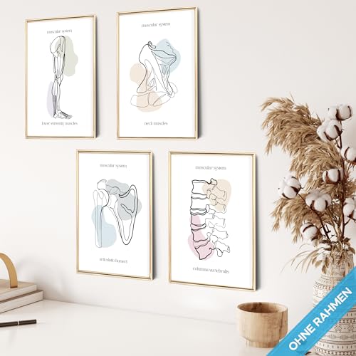 mojoliving Skelett Anatomie Poster Set Anatomie Modell Bilder Schlafzimmer Anatomie Skelett Deko Aesthetic Bilder Vintage Anatomie Poster Skelett Aesthetic Room Decor Fitness Poster