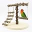 Bird Play Stand NO.4