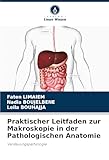 Praktischer Leitfaden zur Makroskopie in der Pathologischen Anatomie: Verdauungspathologie