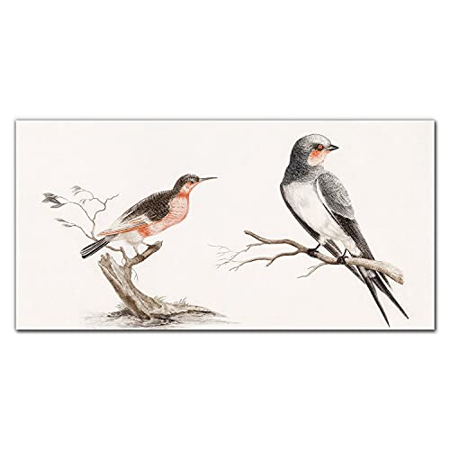 Photo sur verre acrylique Coloray haut de gamme 100x50cm design oiseaux
