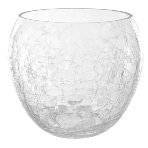 AzaliaDesign Maceta de orquídeas con forma de bola, cristal transparente, diámetro de 18 cm, altura de 14,5 cm, orquídeas de cristal