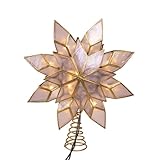 Kurt Adler 10 Lights LED Capiz Clear Star Treetop