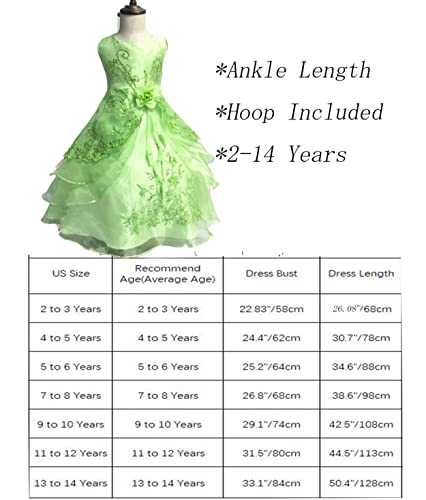 Shiny Toddler Little Girls Embroidebright Green Beaded Flower Girl Birthday Party Dress With Petticoat 5T-6T,Bright Green #TOP6