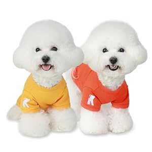 Koneseve-Dog-Shirts-Breathable-Cotton-Dog-Clothes-Stretchy-T-Shirt-for-Small-Medium-Large-Dogs-Cat-Shirt-Soft-Puppy-Outfit-Kitten-Apparel-Pet-Pullover-Tee-Blank-Sweatshirt-2-Pack-Yellow-Orange-4XL - Cucciolini Doodles   Koneseve-Dog-Shirts-Breathable-Cotton-Dog-Clothes-Stretchy-T-Shirt-for-Small-Medium-Large-Dogs-Cat-Shirt-Soft-Puppy-Outfit-Kitten-Apparel-Pet-Pullover-Tee-Blank-Sweatshirt-2-Pack-Yellow-Orange-4XL