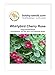 Produktbild Blumensamen Whirlybird Cherry Rose Kapuzinerkresse Portion