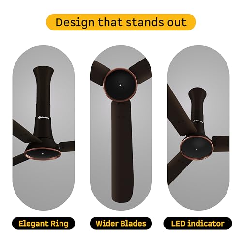 Product Variant View