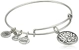 Alex and Ani Bangle Bar 