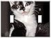 Switch Plate Triple Toggle - Baby Cat Cat Baby Kitten Young Cat Cat Snuggle 10