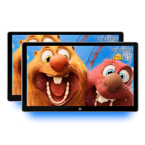 Bsldtor 10.1 Inch Car TV Monitor