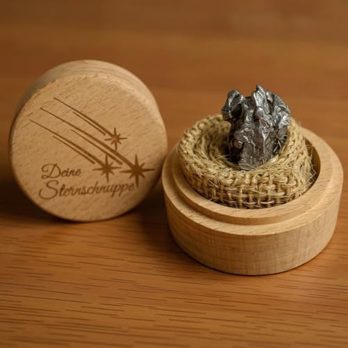 Makai echter Meteorit Sternschnuppe Campo-del-Cielo-Meteorit mit Echtheits-Zertifikat & Aufbewahrungsbox aus Holz (mit Holzbox und Zertifikat)