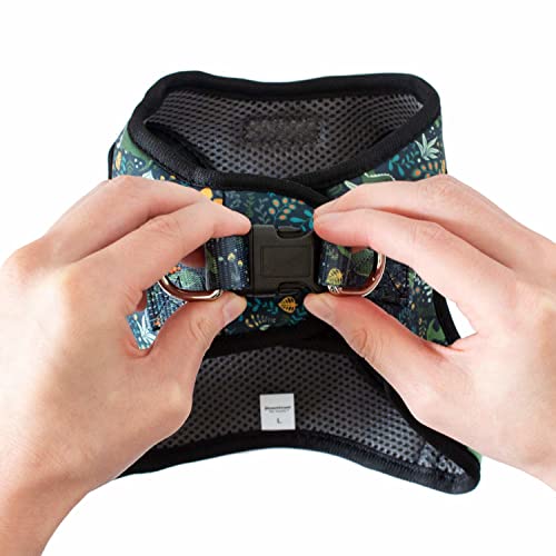 Downtown Pet Supply - Dog Harness For Small Dogs No-Pull - Step In Dog Harness - Padded Mesh Fabric Dog Vest With Reflective Trim, Velcro And Buckle Straps - Dinosaur - S #TOP5