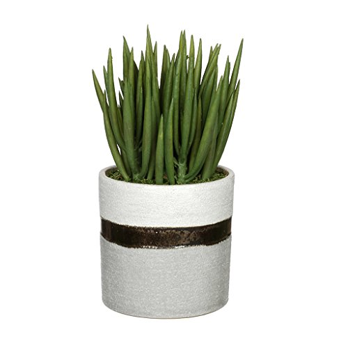 House of Silk Flowers Artificial Sea Aloe in Sanded White/Bronze/Grey Ceramic