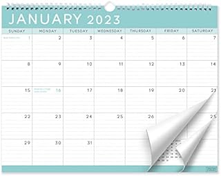 S&O Basic Teal Business 2023 Wall Calendar from Aug 2022-Dec 2023 - Tear-Off Monthly Calendar for Office - 17 Month Academic Wall Calendar - Hanging Calendar with Monthly Mini-Calendars-11.5"x14.75in