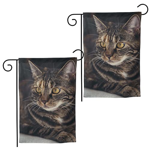 Gartenflagge Camping-Flaggen Hofschilder Outdoor Indoor Banner doppelseitig (2 Packungen Wombat 30,5 x 45,7 cm) Cover