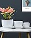 Ton Sin White Plant Pots Set of 3,Indoor Ceramic Flower Pot with Saucers,6.7