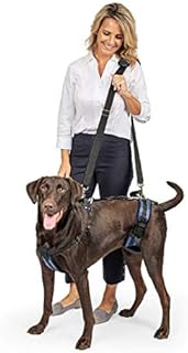 PetSafe CareLift Support Harness - Full-Body Lifting Aid with Handle - Great for Pet Mobility and Older Dogs - Comfortable, Breathable Material - Easy to Adjust - Large