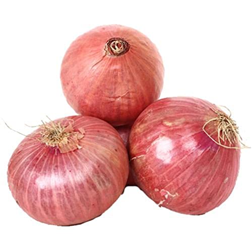 Lulu Onion Bag India 2 kg Approx.