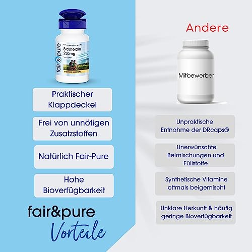 Bromelain Fair & Pure 500mg – Hochdosiertes Ananasenzym