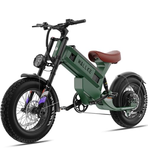 Wallke R60C 4000W Long Range Electric Bike for Adults, Fat