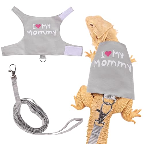 Fnaobai Set di pettorina e guinzaglio con drago barbuto, regolabile, guinzaglio per lucertola per rettili, kit per principianti, accessori per piccoli animali, per addestramento all'aperto a piedi