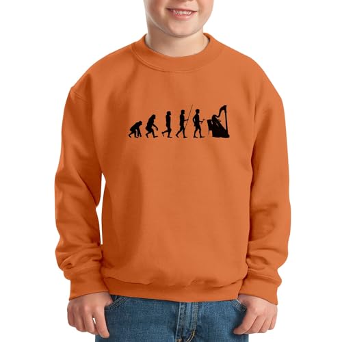 Sweatshirt harpe évolution pour enfant passionné de musique d'orchestre - 2