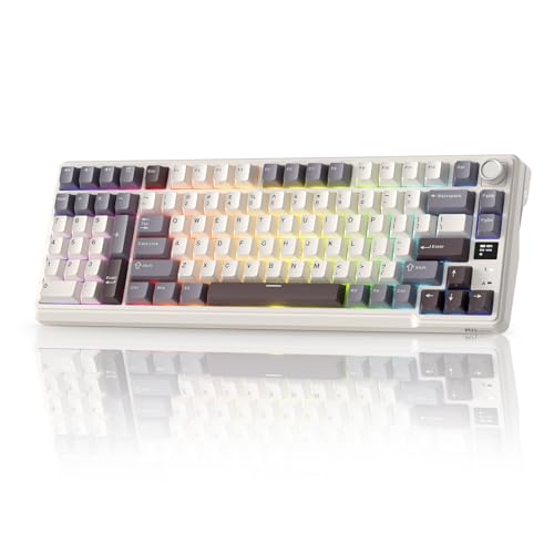 RK ROYAL KLUDGE L98 Wireless Mechanical Keyboard...