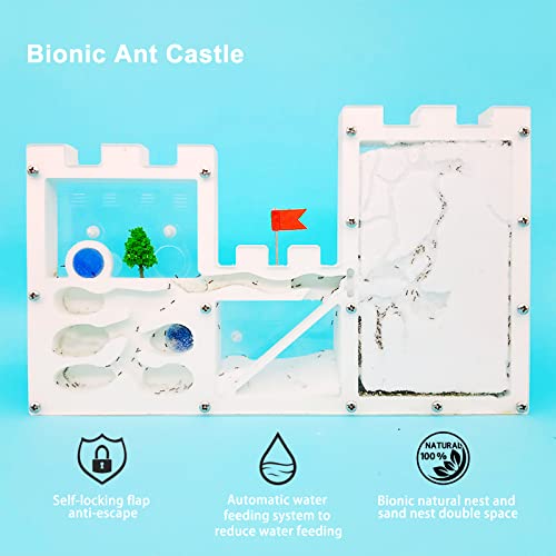 Exbepe EXBESAND-2023-11 Large Sand Ant Farm Castle,Ant Habitat Ecosystem To Study Ant Colony Behavior Science Educational Kit thumb #2