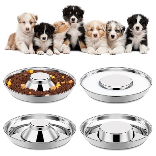 Best Dog Food Bowls For Puppies