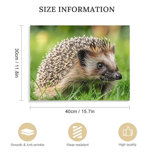 Póster estético de naturaleza para pared de oficina y hogar 2
