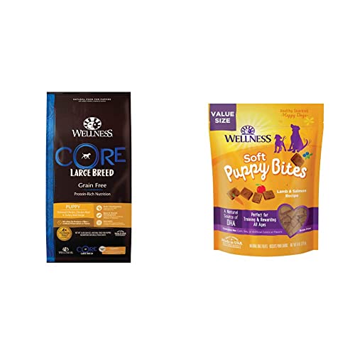 Wellness CORE Grain-Free Puppy Lamb & Salmon Recipe