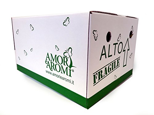 ERBE AROMATICHE in set da n.6 vasi per insaporire grigliate + set da n. 6 vasi per guarnire e aromatizzare COCKTAIL e TISANE (in vaso Ø 9 cm)