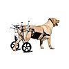 Yinian 2 Ruote Sedia a Rotelle per Cane Carrello per Disabili Scooter per Animali Domestici Carrello per Cani Disabili con Ruote per Riabilitazione di Gambe di Animali Disabili(Size:XL（20-30kg）)
